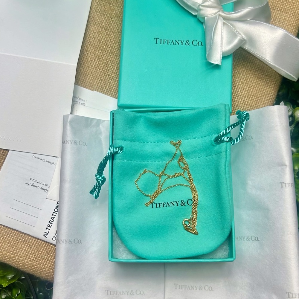 New Tiffany & Co. 18k Yellow Gold Necklace 18” Long